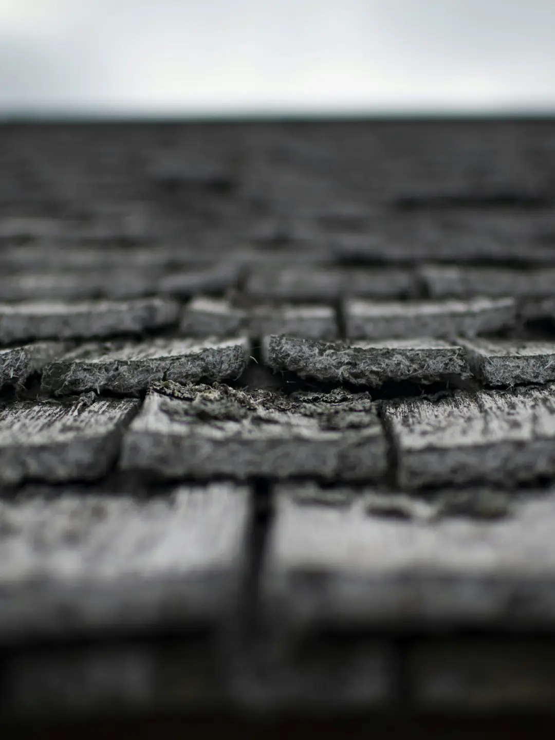 Sample evidence: damaged shingles